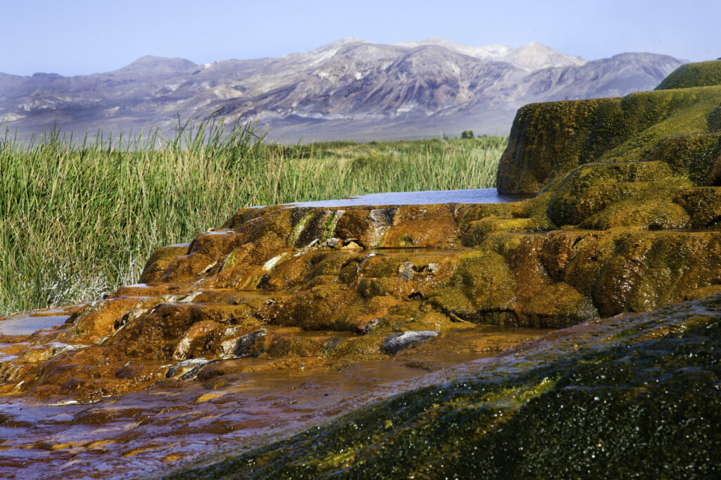 Orange and green mineral deposits from Fly Geyser  in front of grass, lake and mountains in the distance.